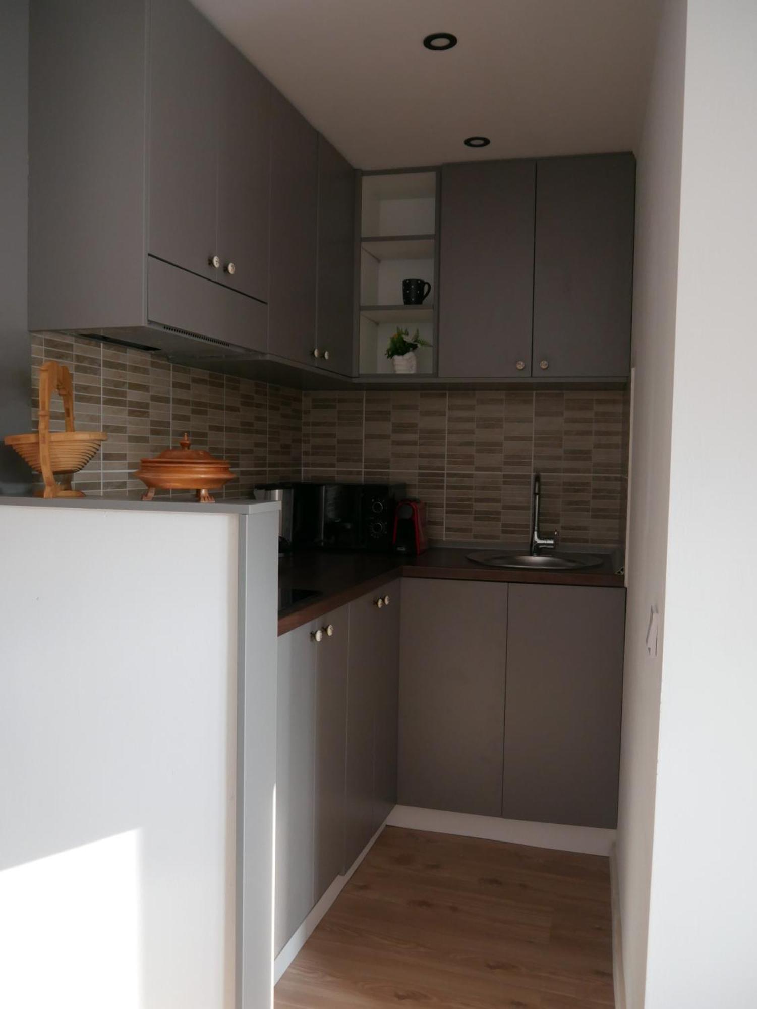 Free Garage In The Center-Delicia 4 Studio! Hermannstadt Exterior foto